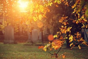 Cemetery on a sunny autumn day
